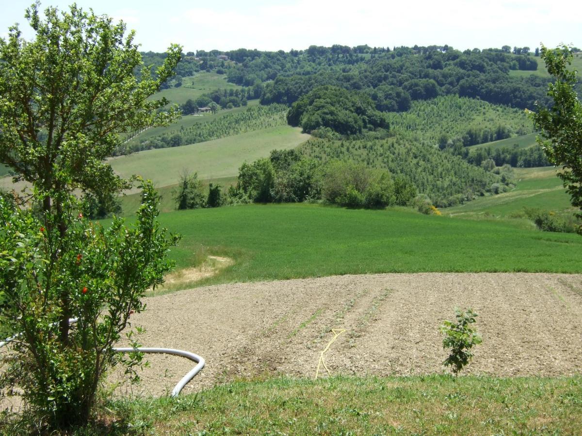 Predio Potantino Villa Proceno Bagian luar foto